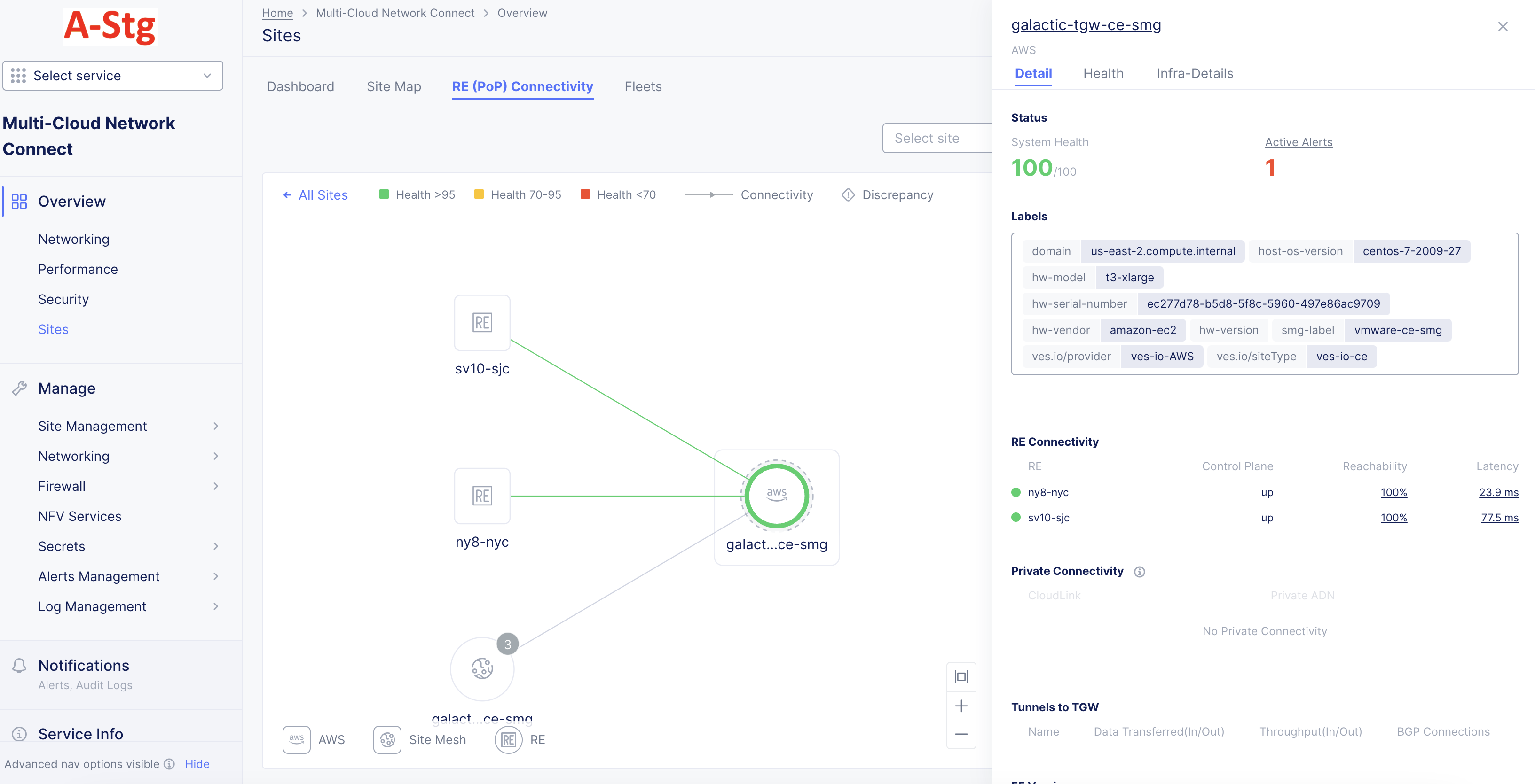 Figure: Site Mesh Group Monitoring - Node Details View